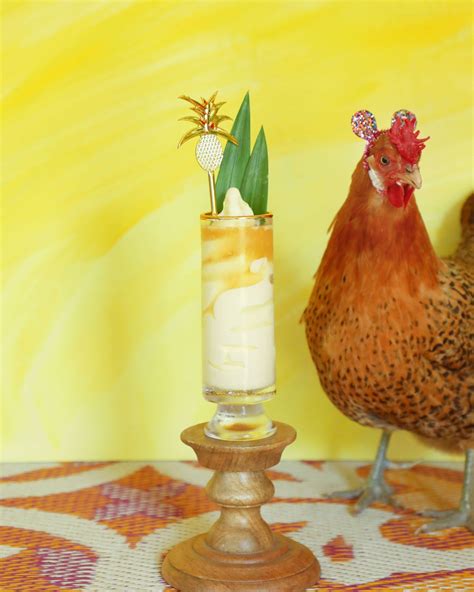 Drinking With Chickens Craft Cocktail Recipes