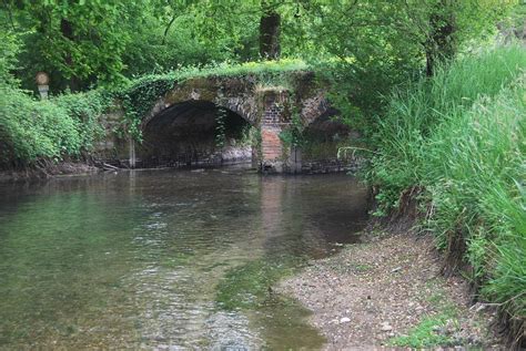 Ticino Parco Del Boschi Dei Ronchi Alla Sforzesca Mountain Bike