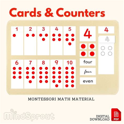 Montessori Card And Counters Flashcard Etsy