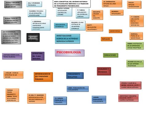 Mapa Conceptual Unidad Ii Descargar Gratis Pdf Cerebro Metafísica