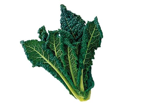 Cavolo nero - BBC Good Food