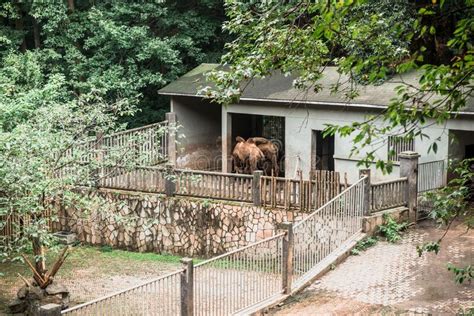 Hiking Trail in the Hangzhou Zoo. Beautiful Nature Stock Image - Image ...