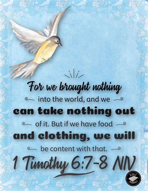 Timothy Niv Picture Bible Verse