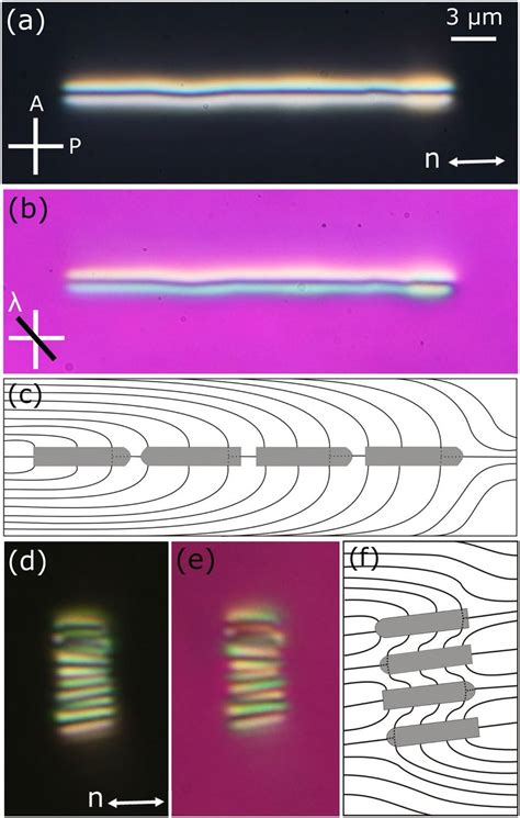 POM Images Of A 1D Linear Chain Of 10 Nano Rods Assembled Along The