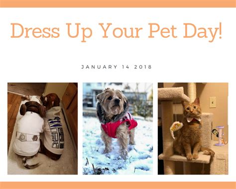 Today Is Dress Up Your Pet Day Show Us Those Pictures Of Your Pets