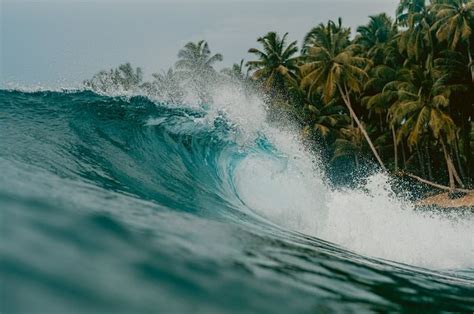 Laut Jenisnya Berdasar Proses Terjadi Letak Dan Nama Laut Di Wilayah