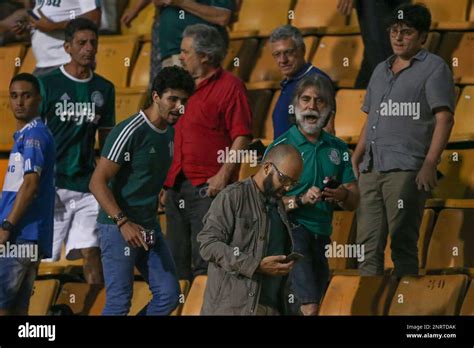 SP - Sao Paulo - 10/10/2019 - Brazilian A 2019, Palmeiras vs Botafogo ...