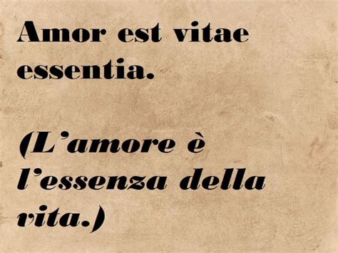 Frasi In Latino Pensieri Aforismi E Immagini Da Condividere