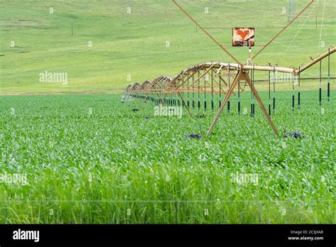 Irrigation System Africa Hi Res Stock Photography And Images Alamy