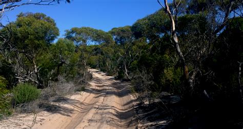 The Eyre Bird Observatory This Is Australia