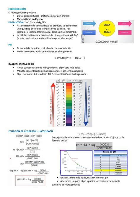 Solution Trastorno Equilibrio Acido Base Studypool