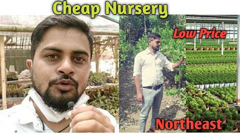 Nursery Visit Visit To A Cheapest Nursery Guwahati Big Nursery