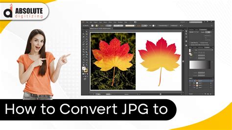 convert jpg  vector absolute digitizing