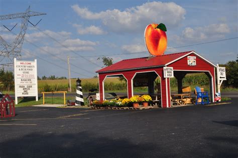 Country Variety and Bakery » Amish 365