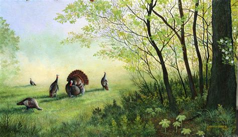 Share More Than 81 Turkey Hunting Wallpaper Best Vn