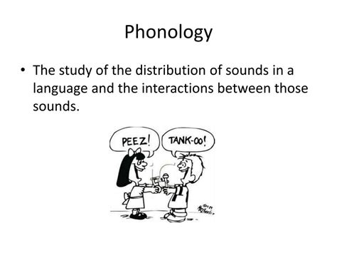 PPT - Phonology PowerPoint Presentation, free download - ID:2436240