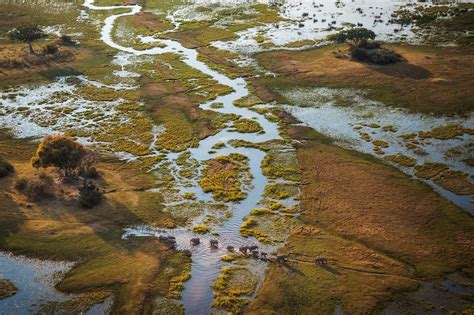 Inside The Ambitious Mission To Save Africas Okavango Delta Okavango