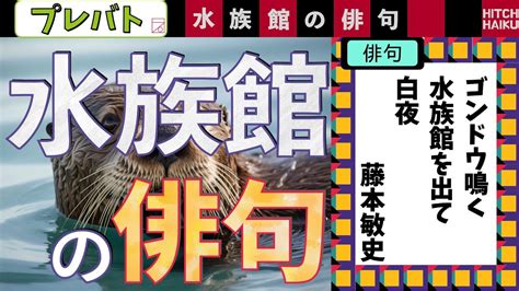 水族館の俳句 プレバト俳句6 8ふりかえり YouTube