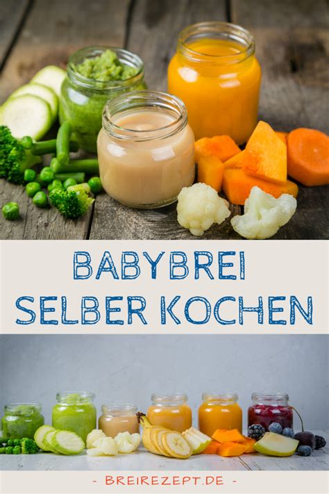 Babybrei Selber Kochen Gesunde Rezepte F R Dein Baby Ab Dem Monat