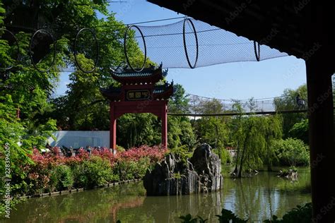 Pont suspendu à Pairi Daiza foto de Stock Adobe Stock