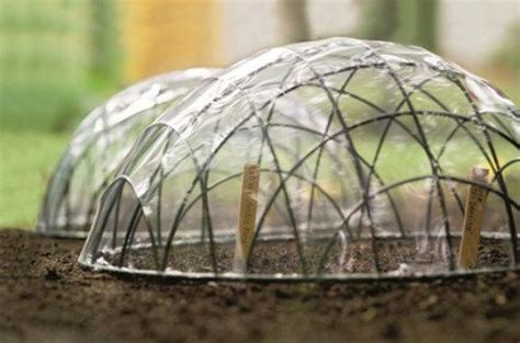 How To Make An Inexpensive Garden Cloche Garden Cloche Diy Garden