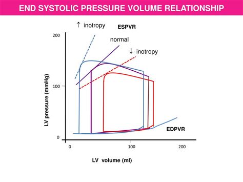 Ppt Ventricular Pressure Volume Loop Powerpoint Presentation Free