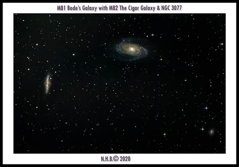 M81 Bodes Galaxy With M82 The Cigar Galaxy NGC 3077 Size Large