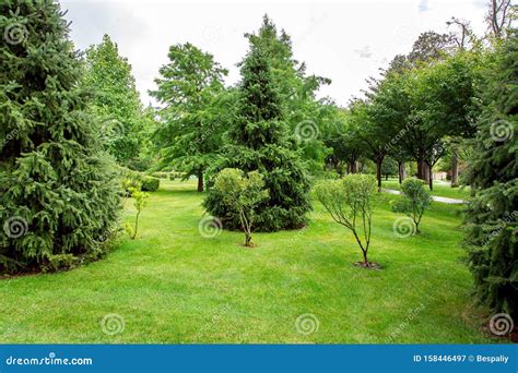 JardÃn Bien Cuidado Con CÃsped Verde Y PequeÃos Arbustos Imagen de