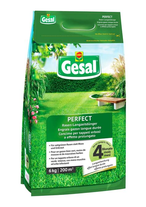 Compo Gesal Rasen Langzeitd Nger Perfect Kg Rasend Nger Kaufen Bei