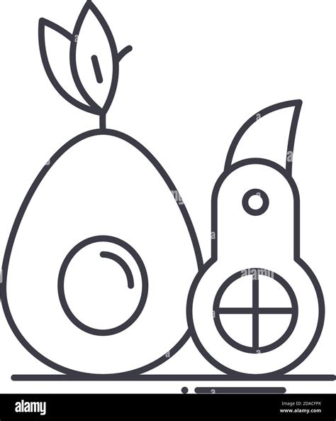 Icono De Cortadora De Aguacate Ilustraci N Lineal Aislada Vector De