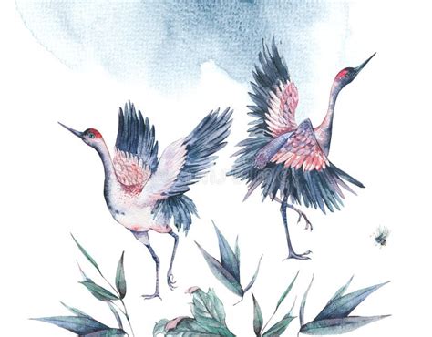 Set Of Watercolor Red Heads Crane Stock Illustration Illustration Of