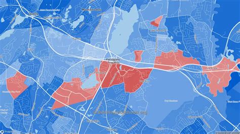 Race Diversity And Ethnicity In Parsippany Nj