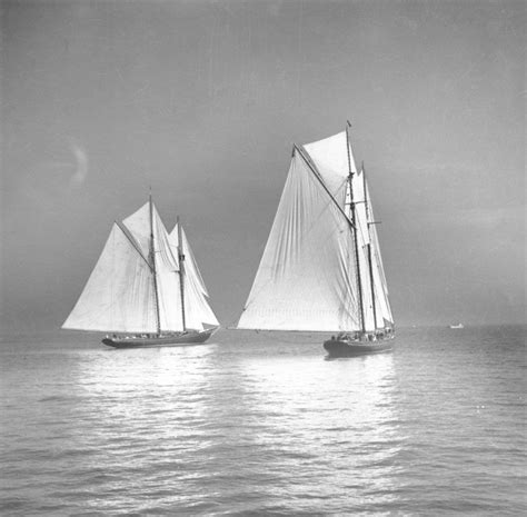 Grand Bank Fishing Schooners Bluenose And Columbia Racing During