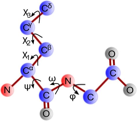 A Protein Dependent Side Chain Rotamer Library BMC Bioinformatics