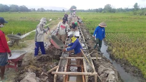 Jaringan Irigasi Sepanjang 6 Km Telah Dibangun Di Desa Loh Sumber