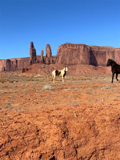 LA Excursión de 5 días a Las Vegas Sedona Monument y Antelope Canyon