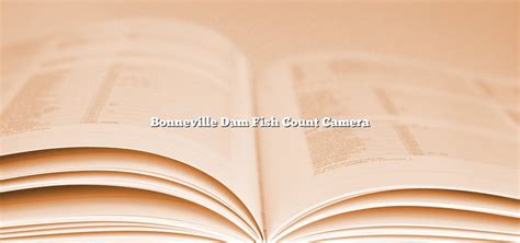 Bonneville Dam Fish Count Camera - November 2022 - Tomaswhitehouse.com