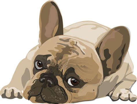 Download Animal Dog Bulldog Royalty Free Stock Illustration Image