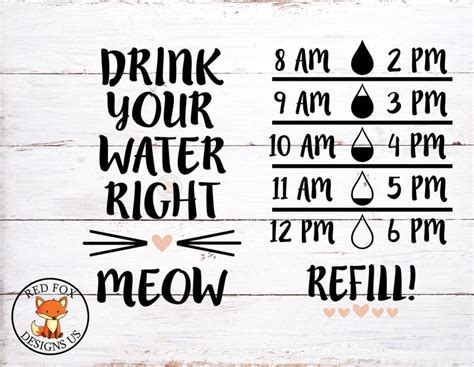 Drink Your Water Right Meow SVG Drink Up Buttercup Svg Water Etsy