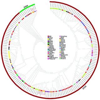 Phylogenetic Tree Constructed By Calling Snps From Core Gene Alignment