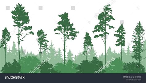 Coniferous Forest Silhouette Pine Trees Spruces เวกเตอร์สต็อก ปลอดค่า