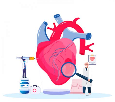 Consulta De Cardiología Madrid Cardiólogos Especialistas Mdh Centros