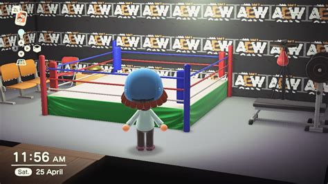 Animal Crossing Boxing Ring Noonaday