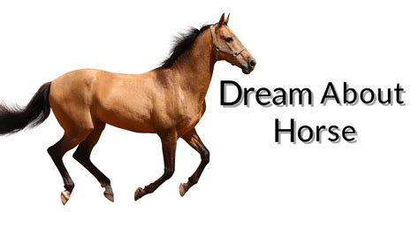 Dreams About Horse Dreams Meaning And Interpretation Youtube