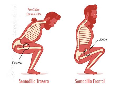 La Sentadilla Frontal Gu A Para Tama O Est Tica Outlift