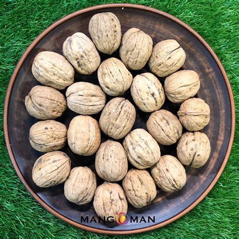 Орех грецкий [в скорлупе] - купить по выгодной цене | MANGOMAN LLC