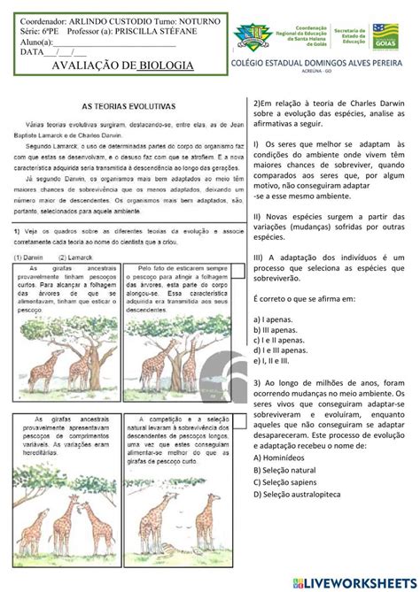 Evolução interactive worksheet