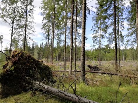 Ilmastonmuutoksen Hillint Sopeutuminen Ja Varautuminen