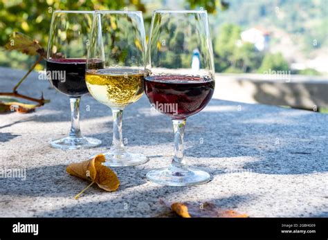 Outdoor Tasting Of Different Fortified Vintage Port Wines In Glasses In