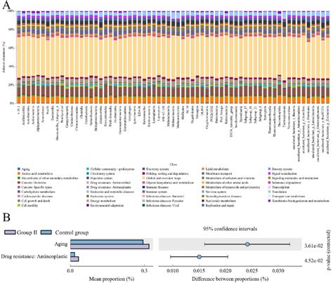 KEGG Based Function Prediction A Histogram On KEGG Pathways Note